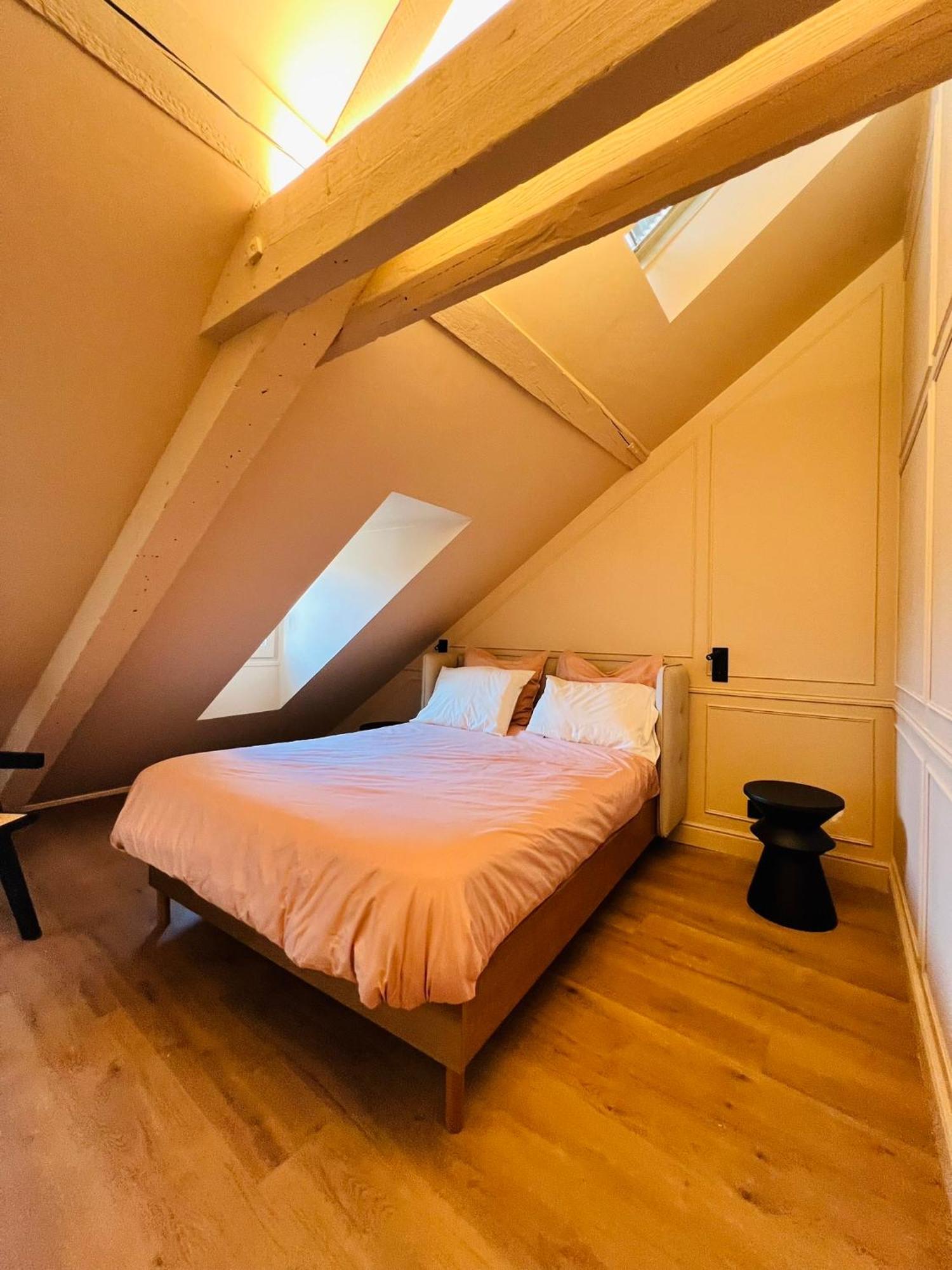 Chez Sandrine, Mon Appartement Elegant + Parking Strasbourg Eksteriør billede